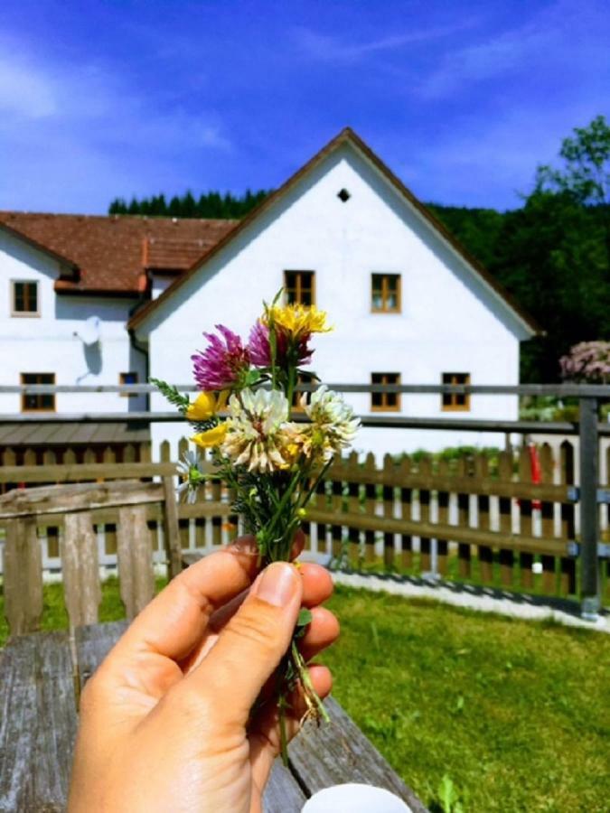 Apartment Einkehrhof Poggau *