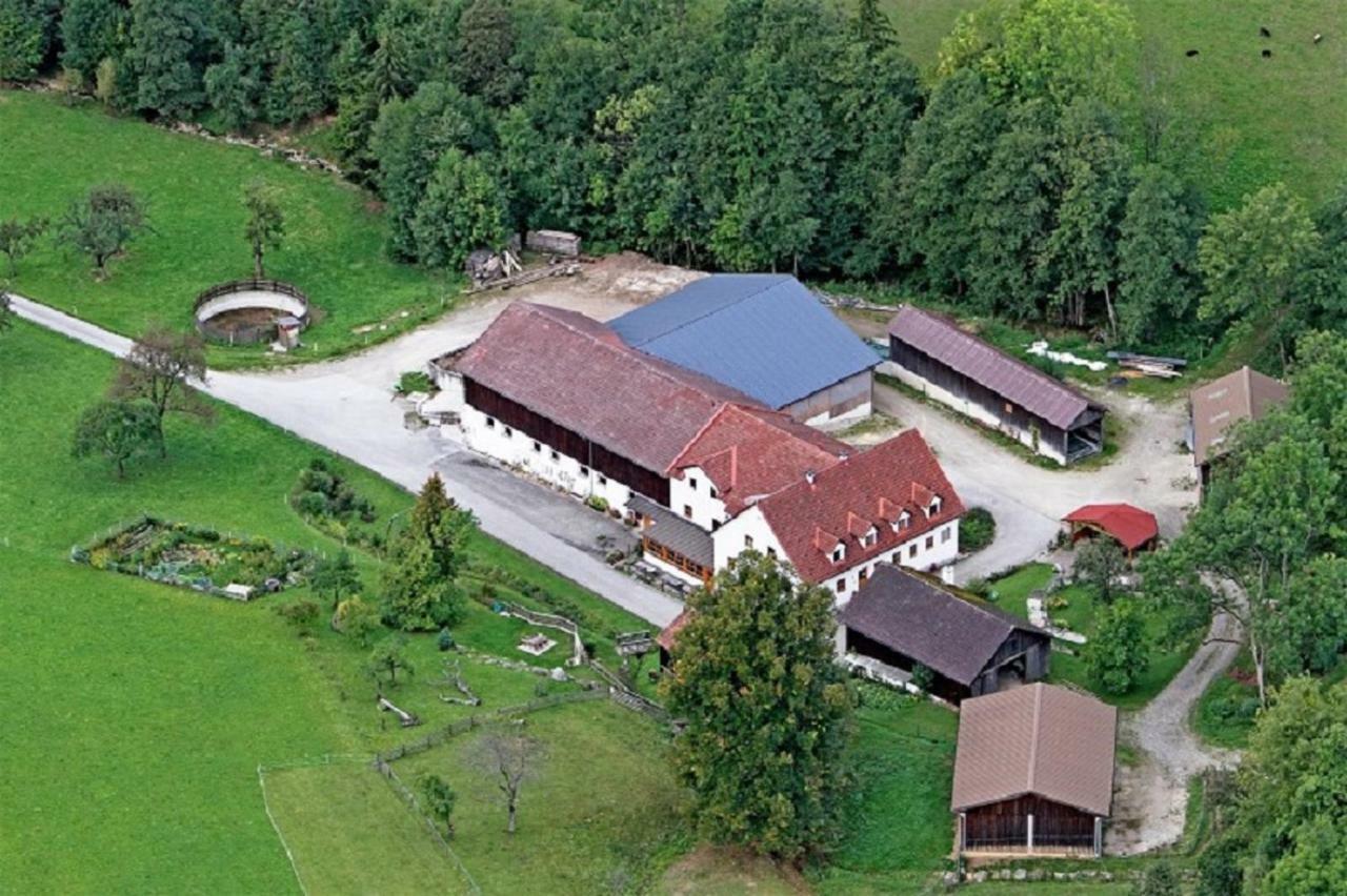 Einkehrhof Poggau Apartment Reinsberg